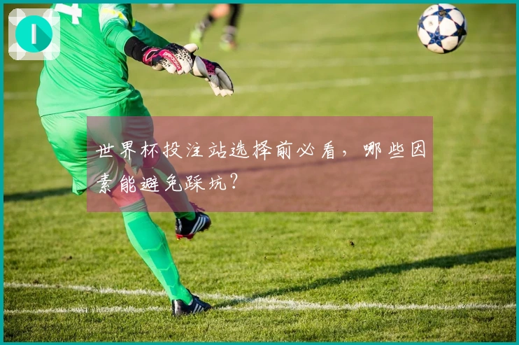 世界杯投注站选择前必看，哪些因素能避免踩坑？