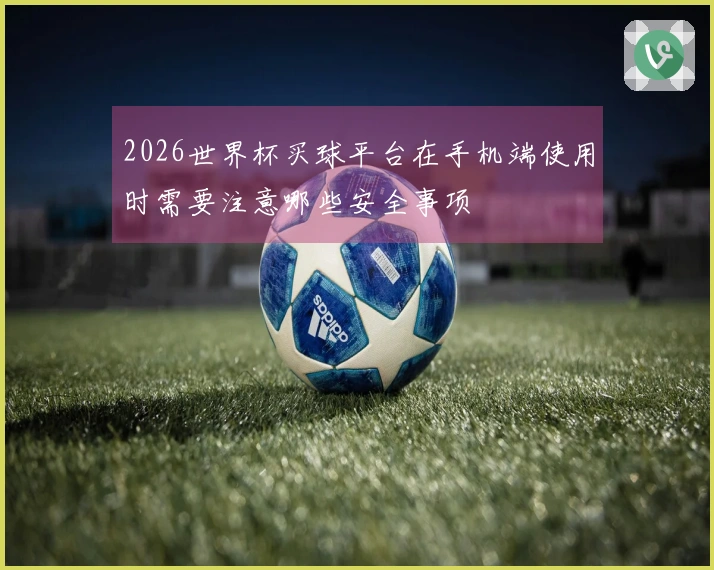 2026世界杯买球平台在手机端使用时需要注意哪些安全事项