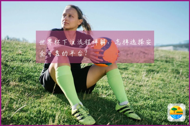 世界杯下注流程详解，怎样选择安全可靠的平台？