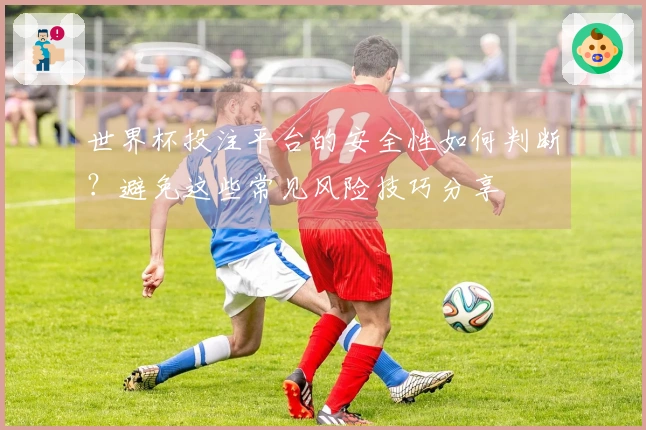世界杯投注平台的安全性如何判断？避免这些常见风险技巧分享