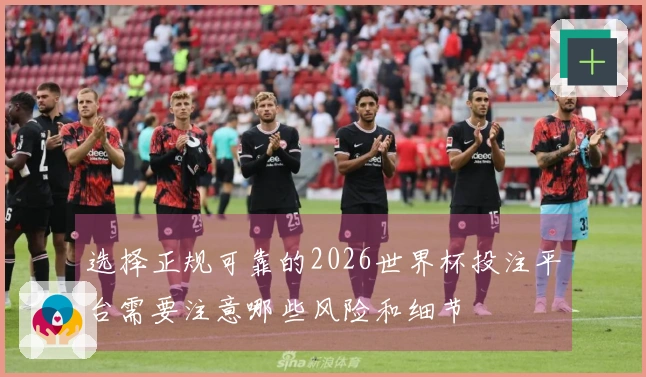 选择正规可靠的2026世界杯投注平台需要注意哪些风险和细节