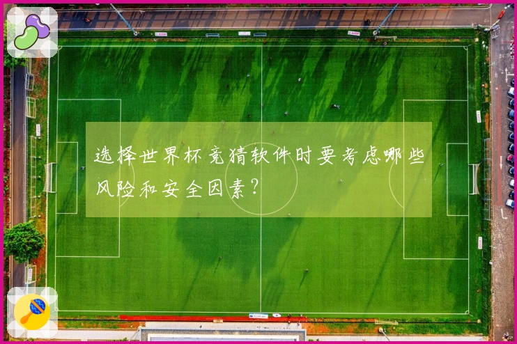 选择世界杯竞猜软件时要考虑哪些风险和安全因素？