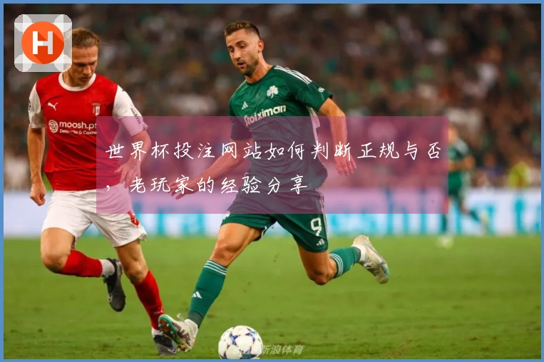 世界杯投注网站如何判断正规与否，老玩家的经验分享