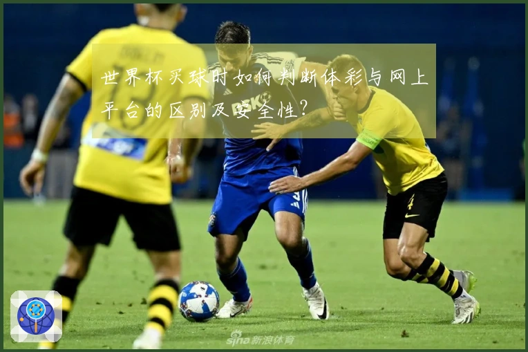 世界杯买球时如何判断体彩与网上平台的区别及安全性？