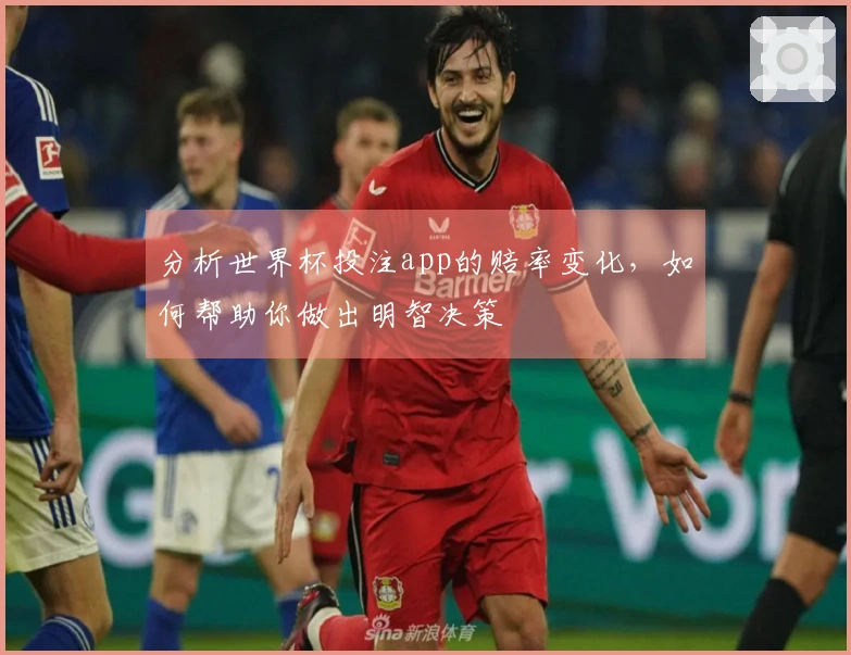 分析世界杯投注app的赔率变化，如何帮助你做出明智决策