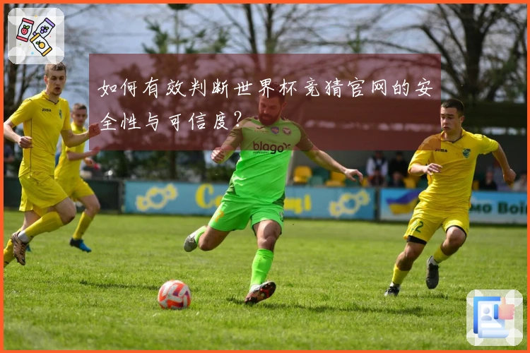 如何有效判断世界杯竞猜官网的安全性与可信度？