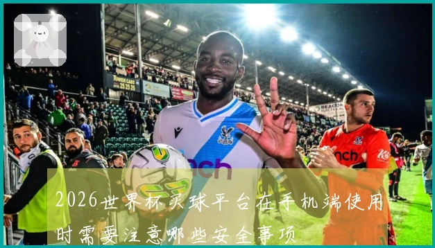 2026世界杯买球平台在手机端使用时需要注意哪些安全事项
