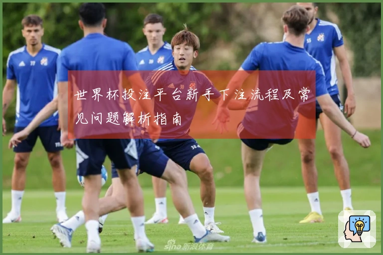 世界杯投注平台新手下注流程及常见问题解析指南