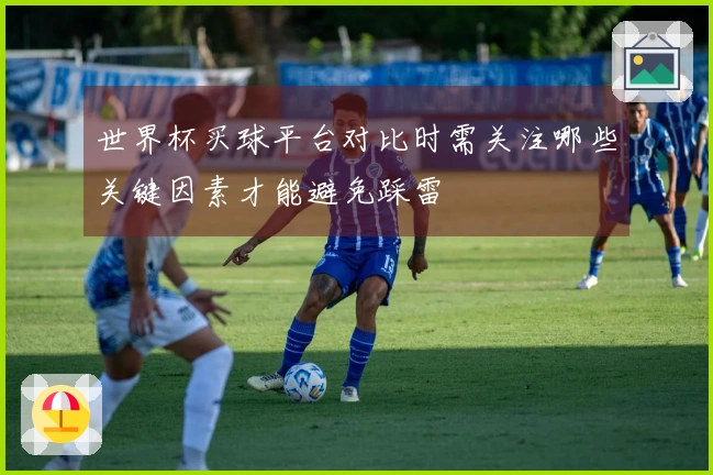 世界杯买球平台对比时需关注哪些关键因素才能避免踩雷
