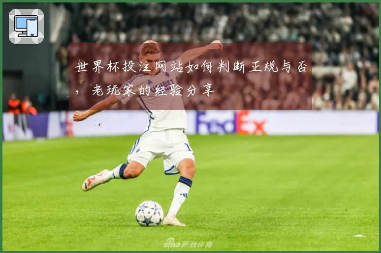 世界杯投注网站如何判断正规与否，老玩家的经验分享