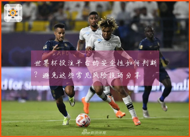 世界杯投注平台的安全性如何判断？避免这些常见风险技巧分享