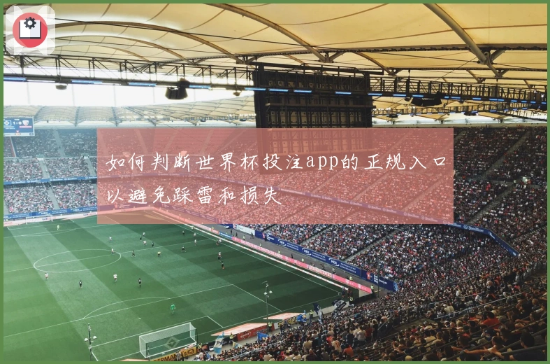 如何判断世界杯投注app的正规入口以避免踩雷和损失