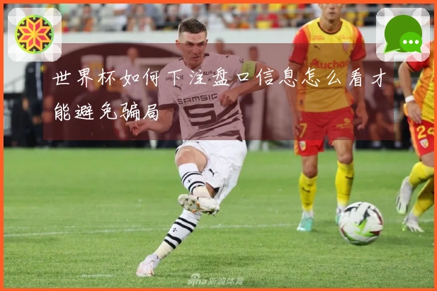 世界杯如何下注盘口信息怎么看才能避免骗局