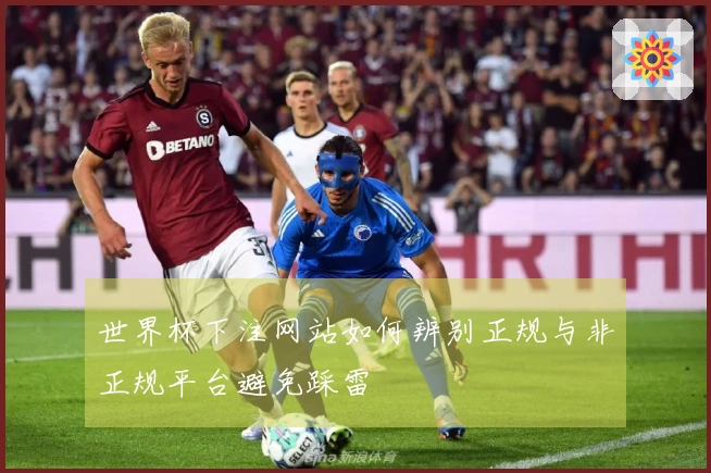 世界杯下注网站如何辨别正规与非正规平台避免踩雷