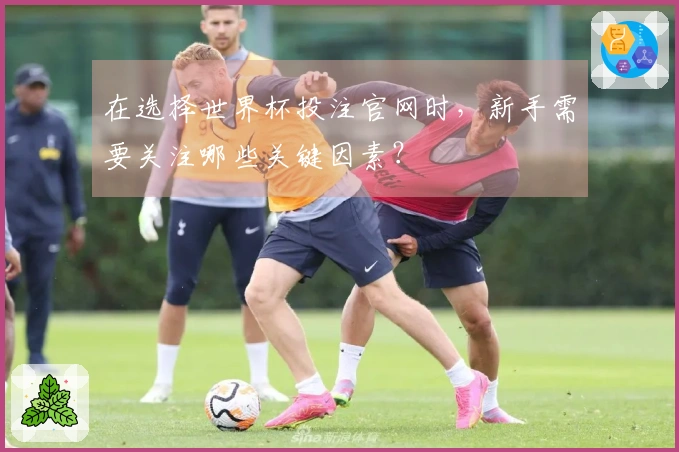 在选择世界杯投注官网时，新手需要关注哪些关键因素？