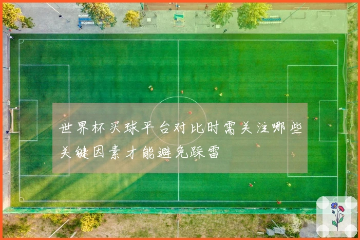 世界杯买球平台对比时需关注哪些关键因素才能避免踩雷
