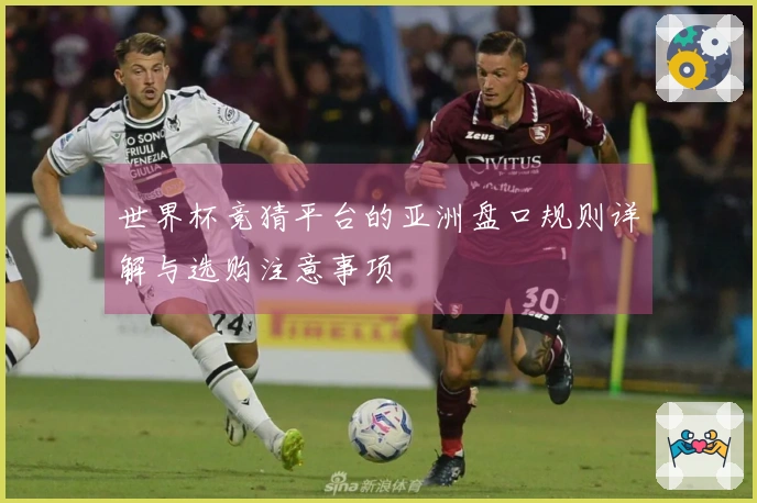 世界杯竞猜平台的亚洲盘口规则详解与选购注意事项