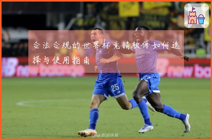 合法合规的世界杯竞猜软件如何选择与使用指南