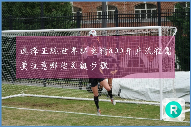 选择正规世界杯竞猜app开户流程需要注意哪些关键步骤