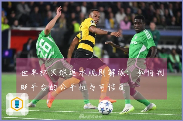 世界杯买球返水规则解读：如何判断平台的公平性与可信度