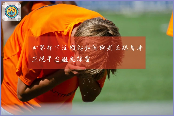 世界杯下注网站如何辨别正规与非正规平台避免踩雷