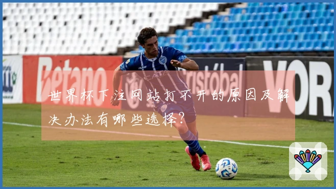 世界杯下注网站打不开的原因及解决办法有哪些选择？