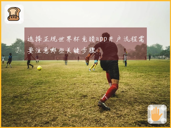 选择正规世界杯竞猜app开户流程需要注意哪些关键步骤
