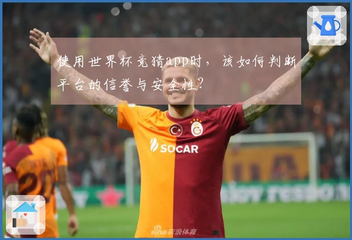 使用世界杯竞猜app时，该如何判断平台的信誉与安全性？