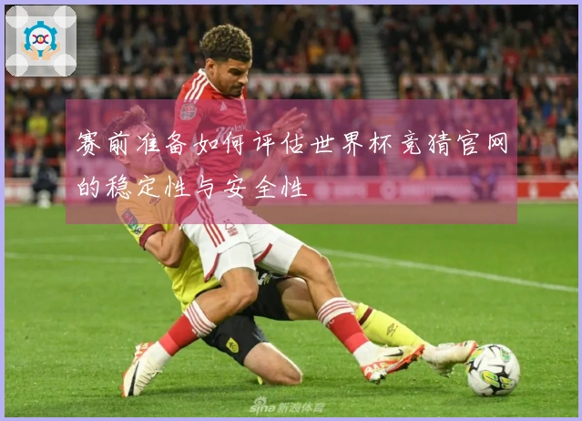 赛前准备如何评估世界杯竞猜官网的稳定性与安全性