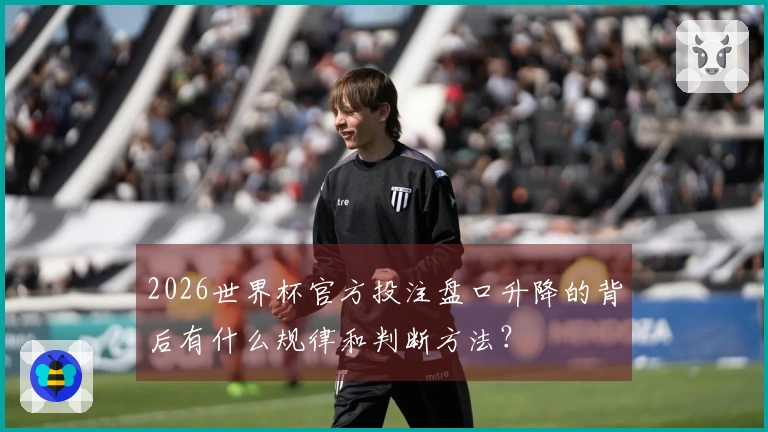 2026世界杯官方投注盘口升降的背后有什么规律和判断方法？