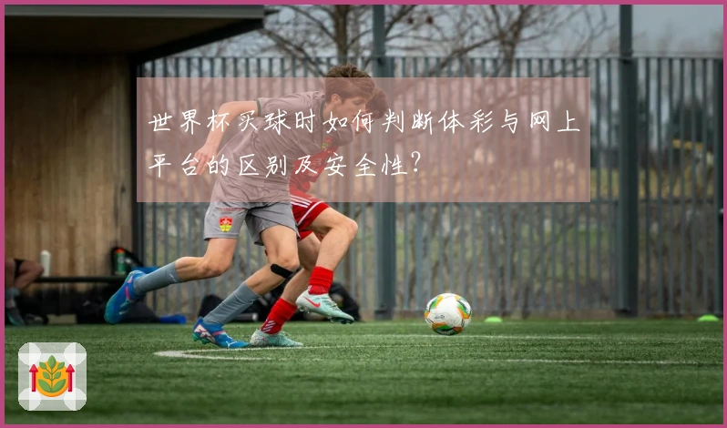 世界杯买球时如何判断体彩与网上平台的区别及安全性？