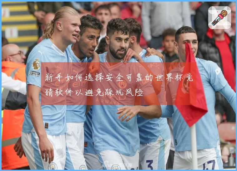 新手如何选择安全可靠的世界杯竞猜软件以避免踩坑风险