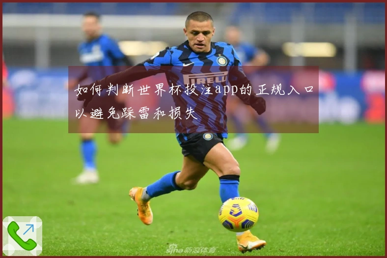 如何判断世界杯投注app的正规入口以避免踩雷和损失